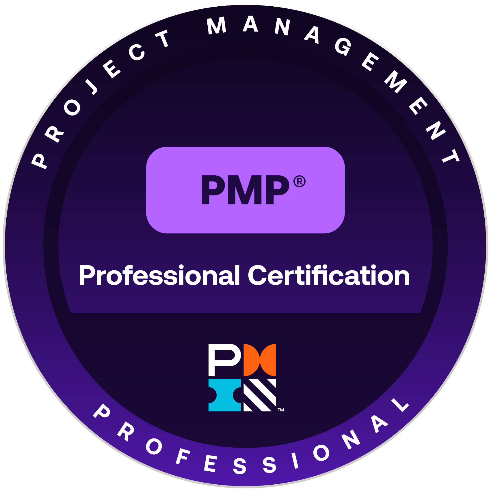 PMP Icon